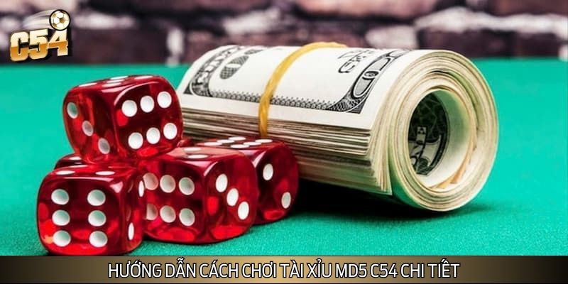 Hướng dẫn cách chơi Tài Xỉu MD5 chi tiết